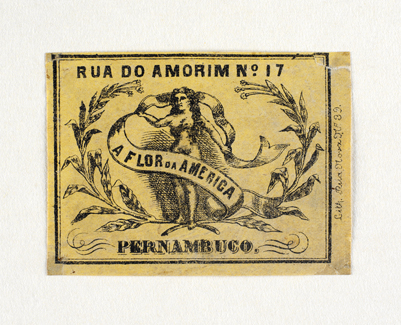 vizualizar o documento on line